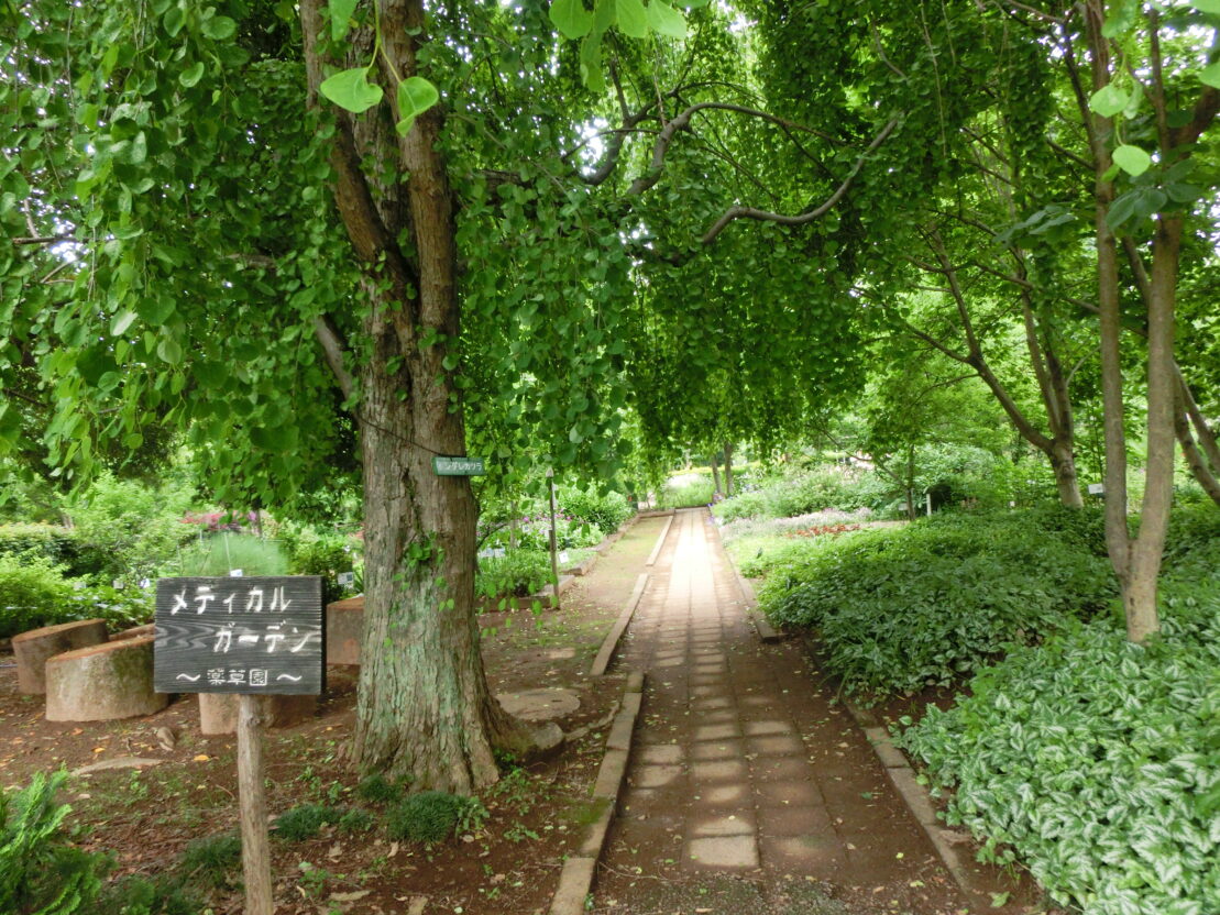 ふかや緑の王国 で 緑に包まれながらゆっくりとした時の流れを感じる Vegetable Theme Park Fukaya 深谷市