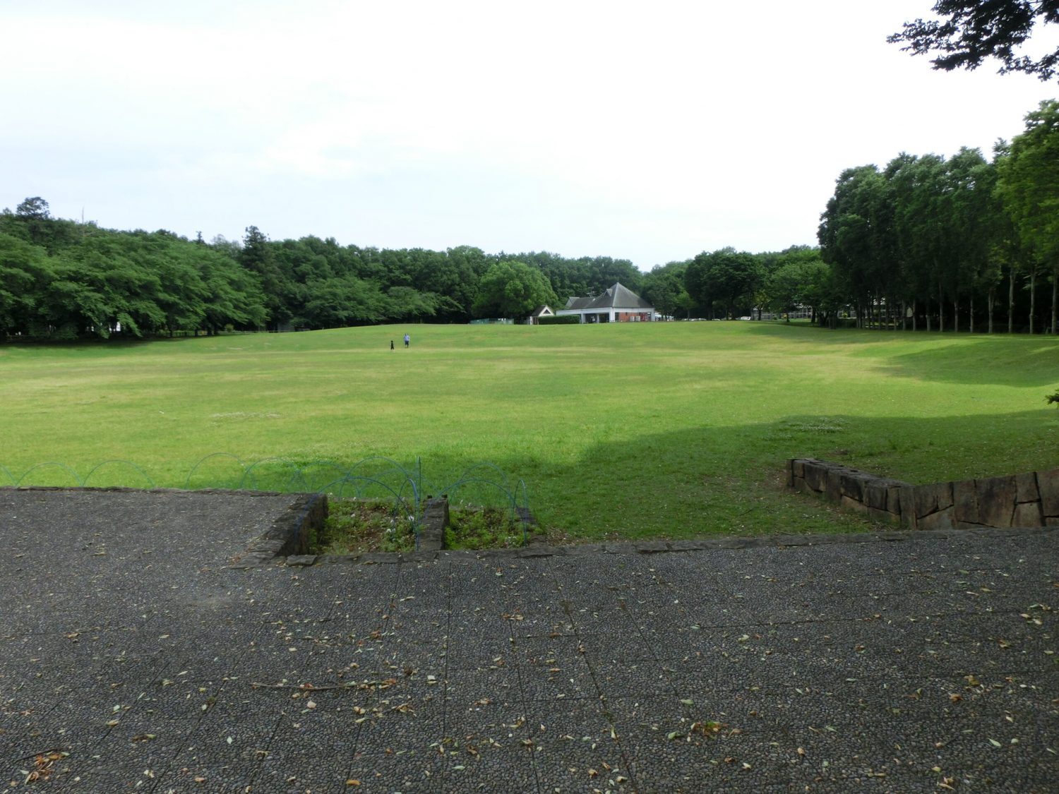 親子・ご夫婦・友人と！「埼玉県農林公園」でのんびりした一日を過ごす