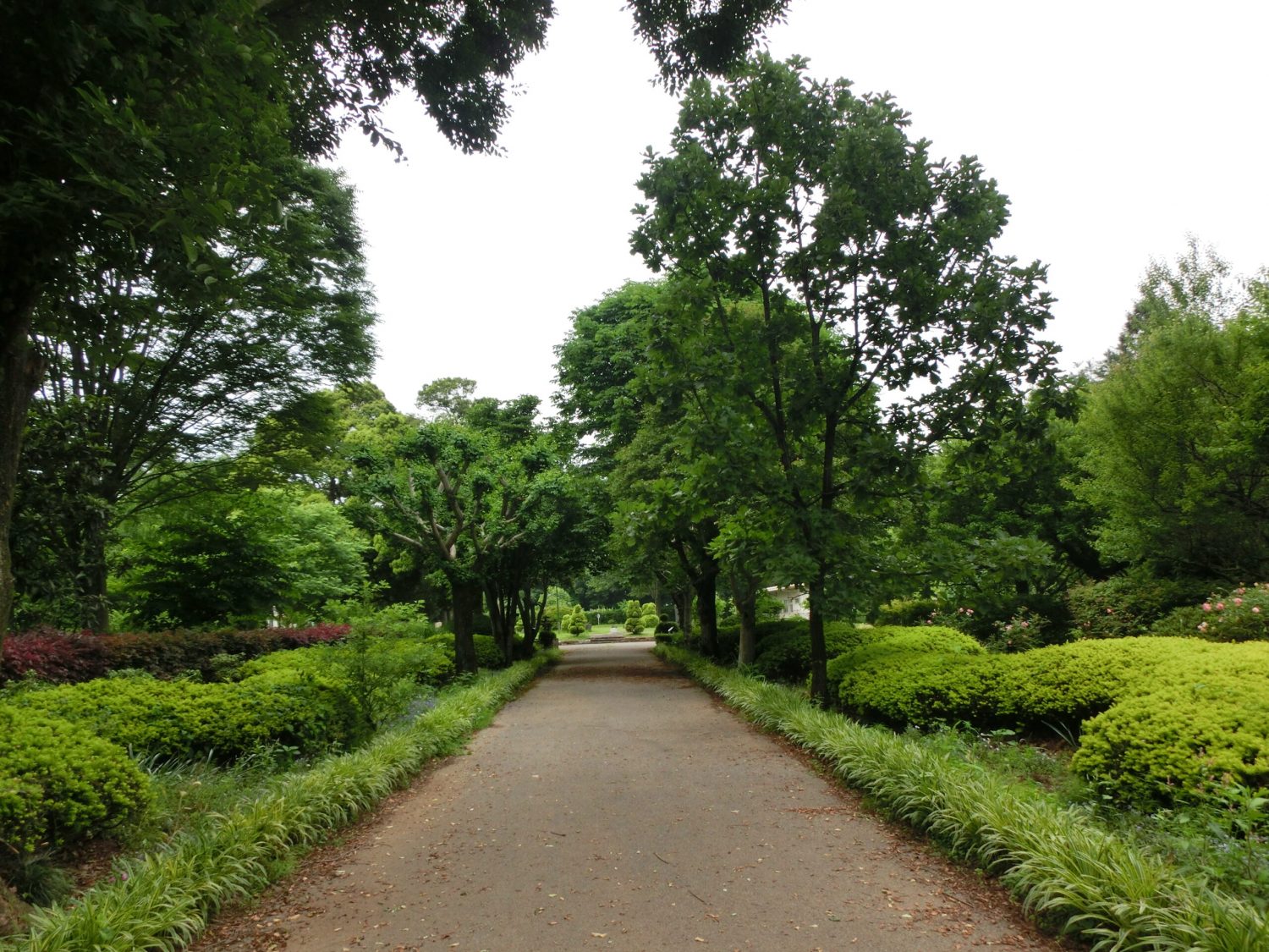 ふらっと深谷で森林浴＆ふかやさい満喫の日！！