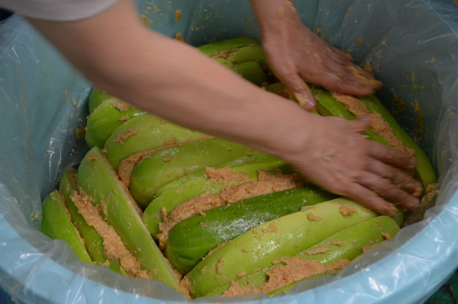 漬物のまちで本格漬物作りの扉が開く！なら漬作りのはじまり　はじまり～