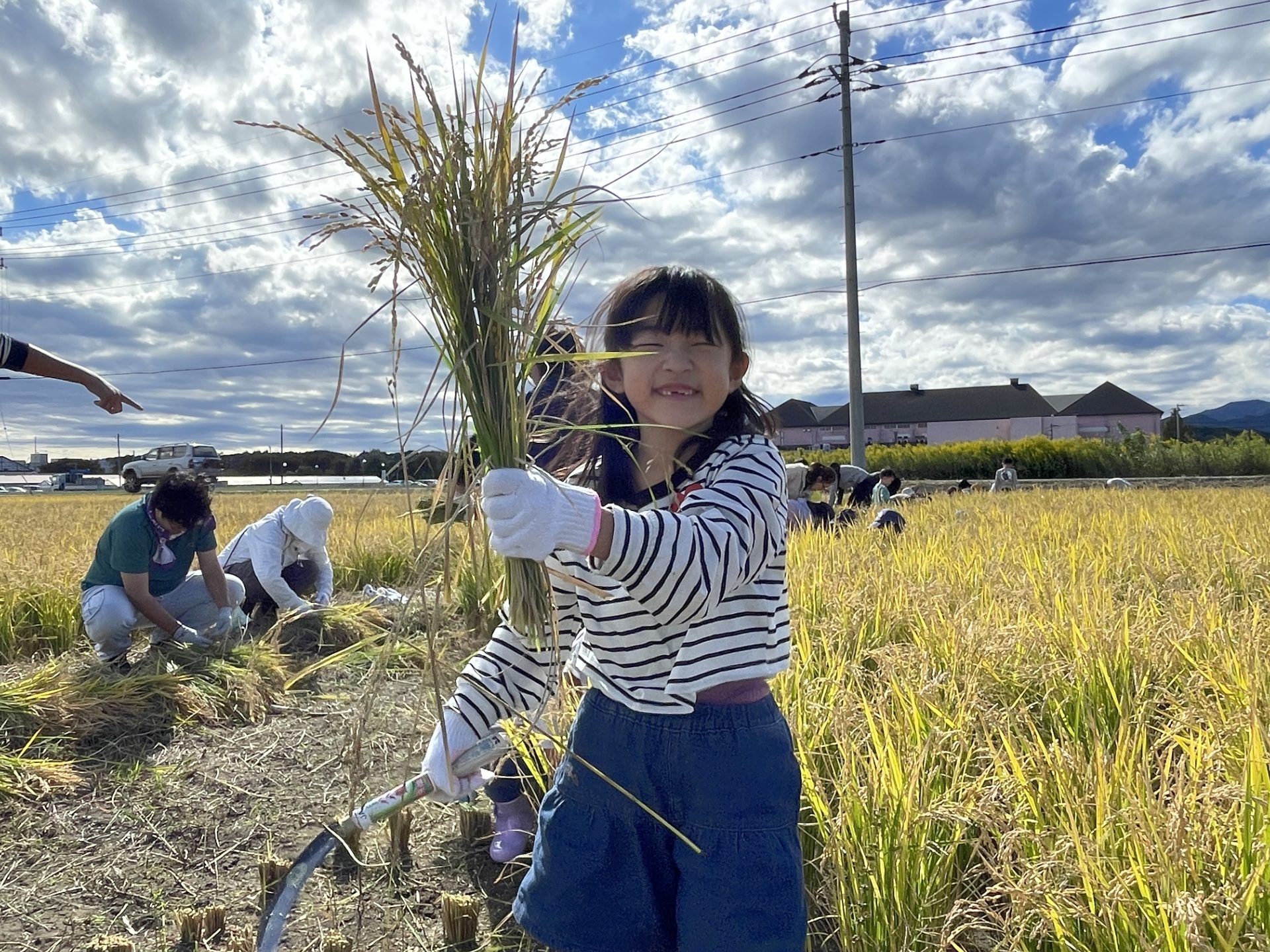 田植えから4か月！ついにこの日がやってきた！