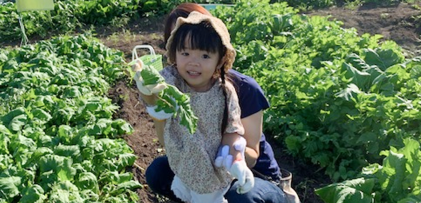 深谷テラスヤサイな仲間たちファーム