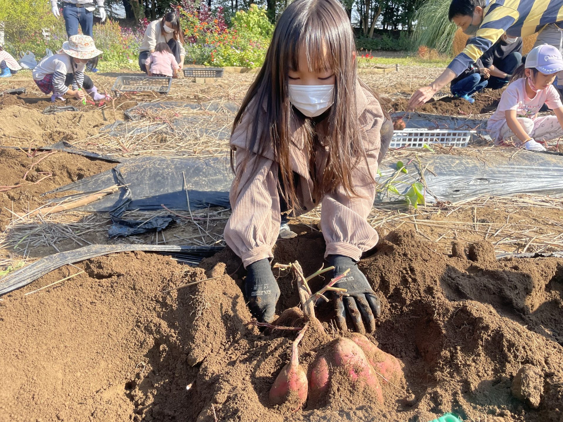 99057～深谷えん旅～親子体操＆さつまいも掘り取り体験｜深谷グリーンパーク　パティオ