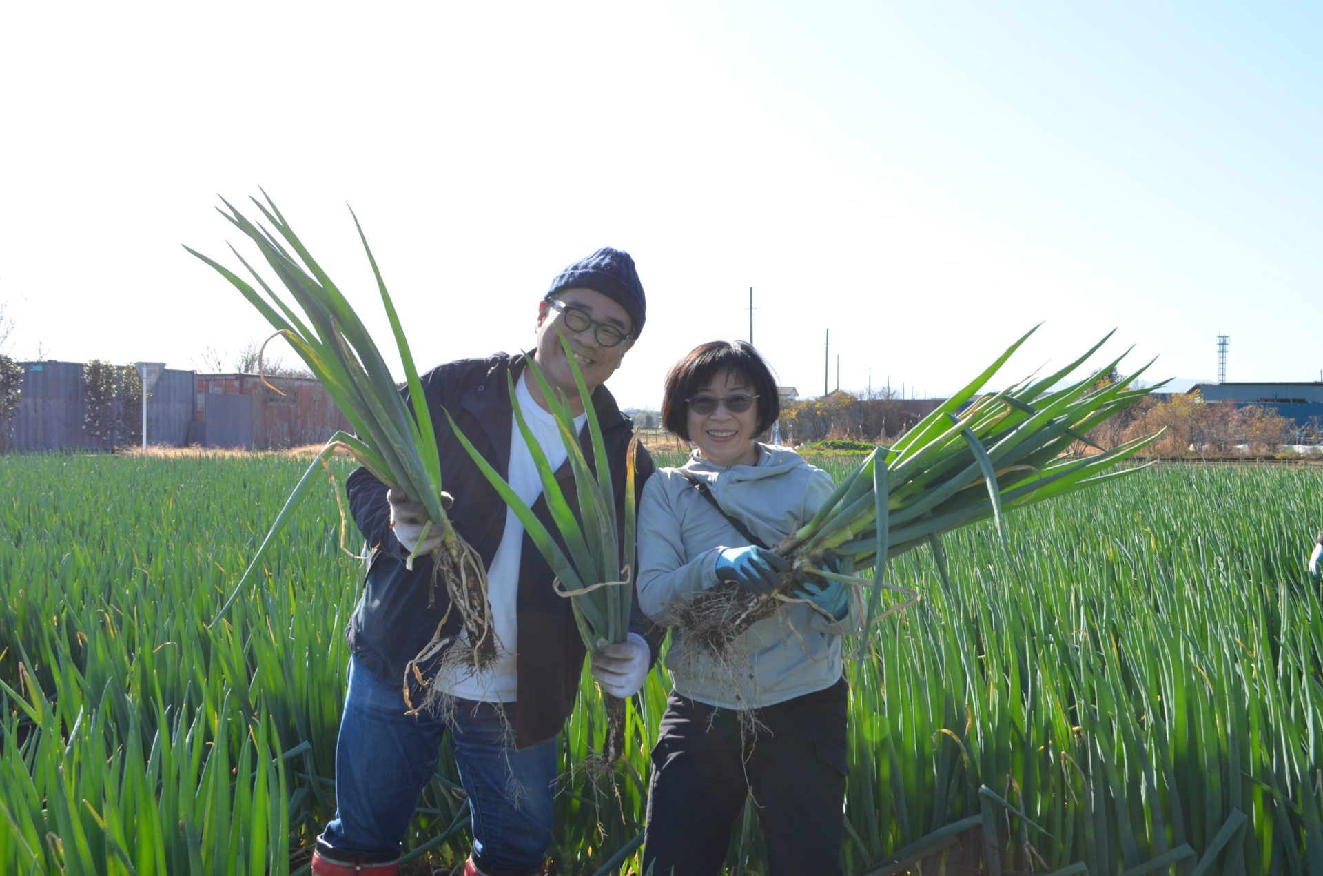 99188今が旬！深谷ねぎ収穫体験　｜　馬場ファミリー農園