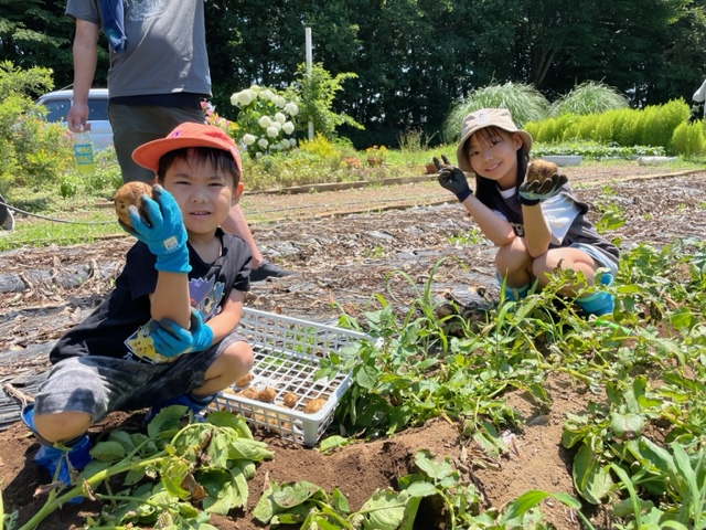 親子で農業体験！じゃがいも・たまねぎの収穫体験｜深谷グリーンパークパティオ