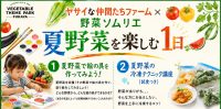 0810 野菜を楽しむ1日2