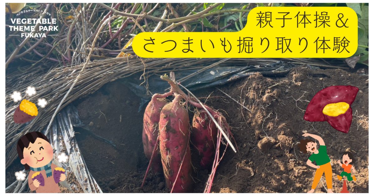 ～深谷えん旅～親子体操＆さつまいも掘り体験｜深谷グリーンパーク　パティオ